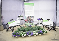 Also this year, a word of thanks. “Last year, at the CAST, Benary celebrated their 175th anniversary. To help thus celebrate, you joined us in our “Bike Around the Globe” challenge as a way of giving back to our industry. Benary announced that we would match a $1 charitable donation for every mile ridden. We had lots of fun jumping on stationary bikes with you and keeping track of the mileage at events in the US, Guatamala, Chile, Germany and The Netherlands All together we rode a lot of miles! We are proud to announce that we have donated $10,000 to The Naivasha Chldren’s Shelter (Kenya_ and $10,000 to Fundacion Semillas de Esperanza (Guatamala). Please accept our sincire thanks for ou participation in this event. For more info about these charities: www.shelteryetu.org